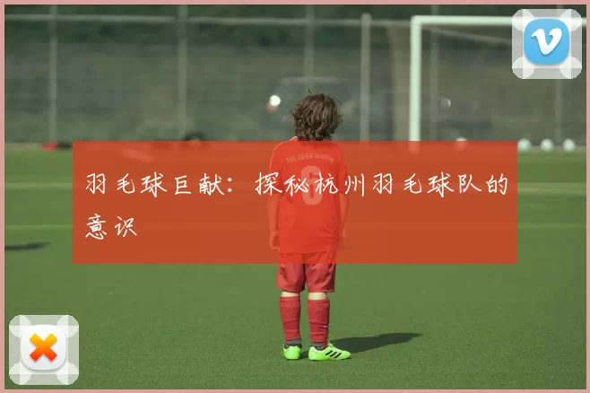 羽毛球巨献：探秘杭州羽毛球队的意识