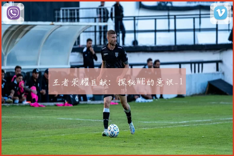 王者荣耀巨献：探秘WE的意识_1
