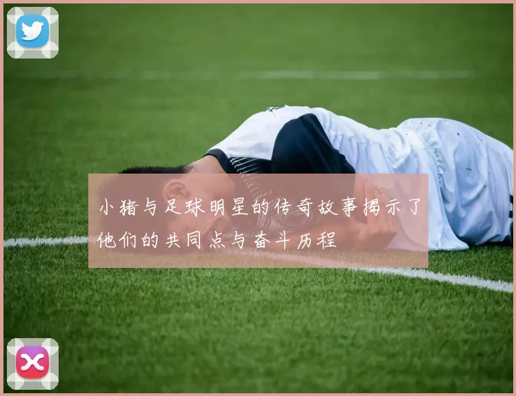 小猪与足球明星的传奇故事揭示了他们的共同点与奋斗历程