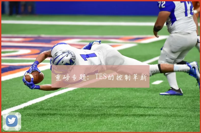 重磅专题：TES的控制革新